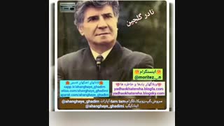 دانلود اهنگ نادر گلچین بنام شِکوه دل Nader Golchin - Shekveye Del