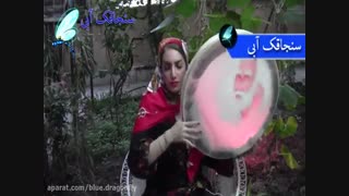 بیاد استاد محمدرضا شجریان - دف نوازی آهنگ مرغ سحر شجریان