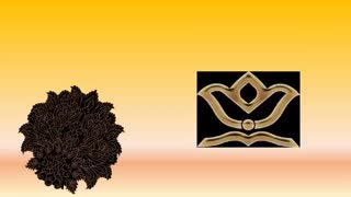 تیزر کانون فاطمه الزهرا (س) آموزش و پرورش ساری ناحیه دو