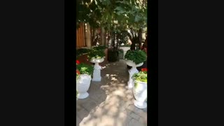 رستوران کوهپایه دربند