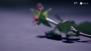 SUPER JUNIOR_one more