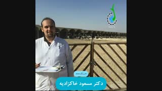 گرامیداشت روز ملی دامپزشکی/ گروه جهادی ایقان