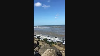 شادی پریودنتیکس