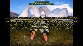پیامی مشترک به فعالان روشنایی از طرف فدراسیون کهکشانی نور