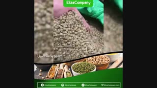 فروش عدس ریز قزاق
