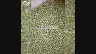 فروش انواع ماش