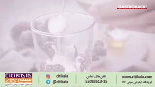 همزن دستی حرفه ای گاستروبک مدل 40983