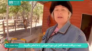 آموزش چند نکته در مورد کنترل بیماری مرغ های محلی