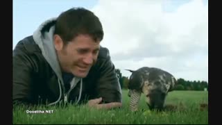 مرگ آفرینان 7 - Deadly 60