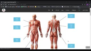آموزش حرکات بدنسازی به تفکیک عضلات