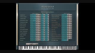 وی اس تی بیس Audio Modelling SWAM Engine SWAM Double Bass