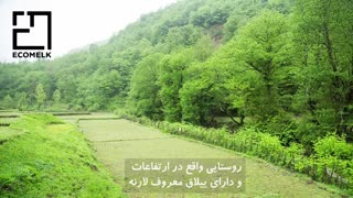 معرفی کامل شهر توتکابن