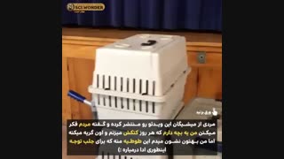 طوطی زرنگ