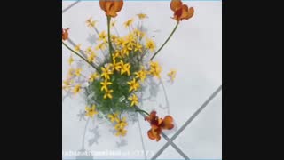 آغاز امامت حضرت مهدی (عج) مبارکباد. آهنگ لطف با صدای رضا بهرام