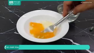 روش صحیح نگهداری از ماهی فایتر و نحوه ی غذا دادن به آنها