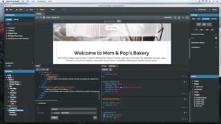 طراحی سایت در کرج