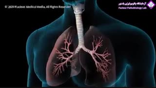 اطلاعاتی جدید از بیماری کرونا