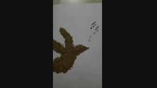 تنها صداست که می ماند