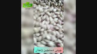 فروش لوبیا چیتی دستچین زنجان