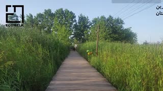 معرفی کامل شهرستان بندر کیاشهر