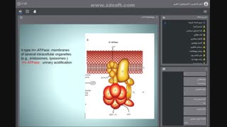 Physiology Dr Sharif 6