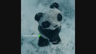 من نمیدونم چی کم داشتم اصن از بقیع:]]]