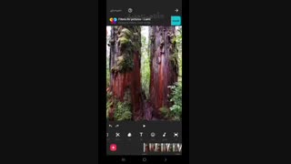 ابزارشناسی برنامه اینشات بخش اول