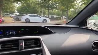 2021 Toyota Prius Special Edition - What's New!