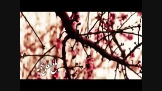 نماهنگ: بلغ العلی بکماله بمناسبت میلاد  پیامبر عظیم الشان اسلام و هفته وحدت