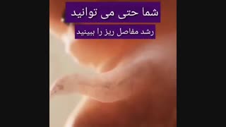 جنین در هفته دهم بارداری