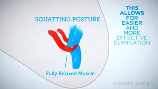 نحوه صحیح نشستن برای جلوگیری از ابتلا به بواسیر