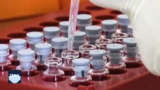 از ثروتمندترین سیارک کشف‌شده تا ساخت کوچکترین کشتی دنیا