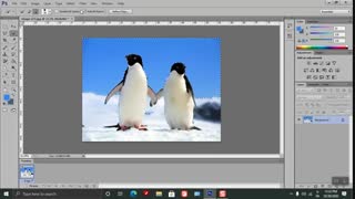 آموزش فتوشاپ درس 5