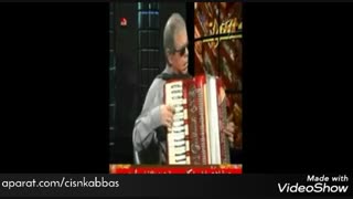 استاد عارف ابراهیمپور، آکاردئون نوازی در شور