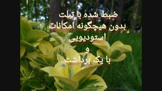 دموی بازخوانی آهنگ معین _ کرشمه
