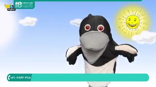 انیمیشن آموزشی استیو و مگی همراه با زیر نویس فارسی