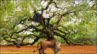 علوم دوم . پوشش حیوانات