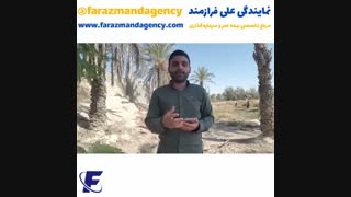 فرشتهها همیشه وجود دارن اما...!