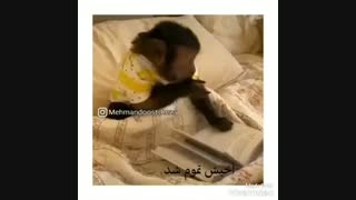 برای خنده...ت