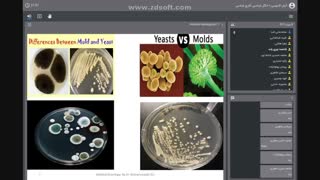 Parasitology & Mycology 6