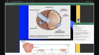 جلسه ی نهم مقدمات بیماری های غدد