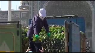 گل آرایی حرم مطهر امام رضا (ع) به‌مناسبت ۱۷ ربیع‌الاول