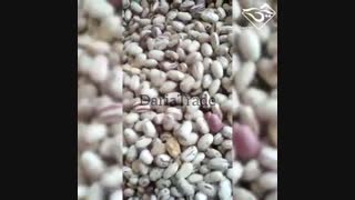 فروش لوبیا چیتی دستچین زنجان