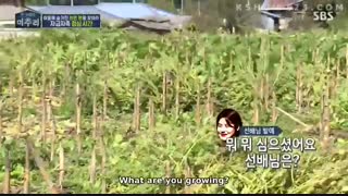 پارت اول برنامه Village Survival The Eight با حضور جنی از بلک پینک با زیرنویس فارسی آنلاین