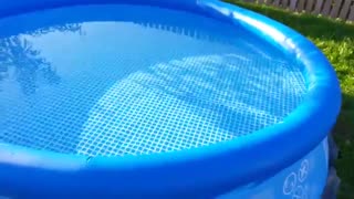 خرید استخر بادی عمیق ارزان