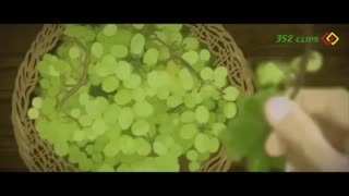 داستان شنیدنی از بخشش امام رضا - حجت الاسلام عالی