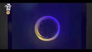 تیزر  سریال Please Dont Date Him + توضیحات