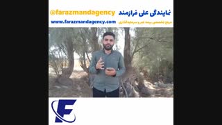 خانم خونه دار یا کلفت؟!!!