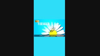 فیلم مراحل تولید عسل برکان