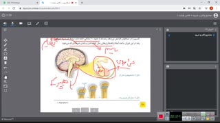 قسمت اول فصل 6( تنظیم هورمونی) ، پایه هشتم ، صبا ایزدیار